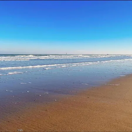 In With Stunning Sea Views Appartement Knokke-Heist