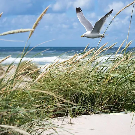 In With Stunning Sea Views *