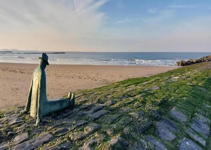 In With Stunning Sea Views Appartement *